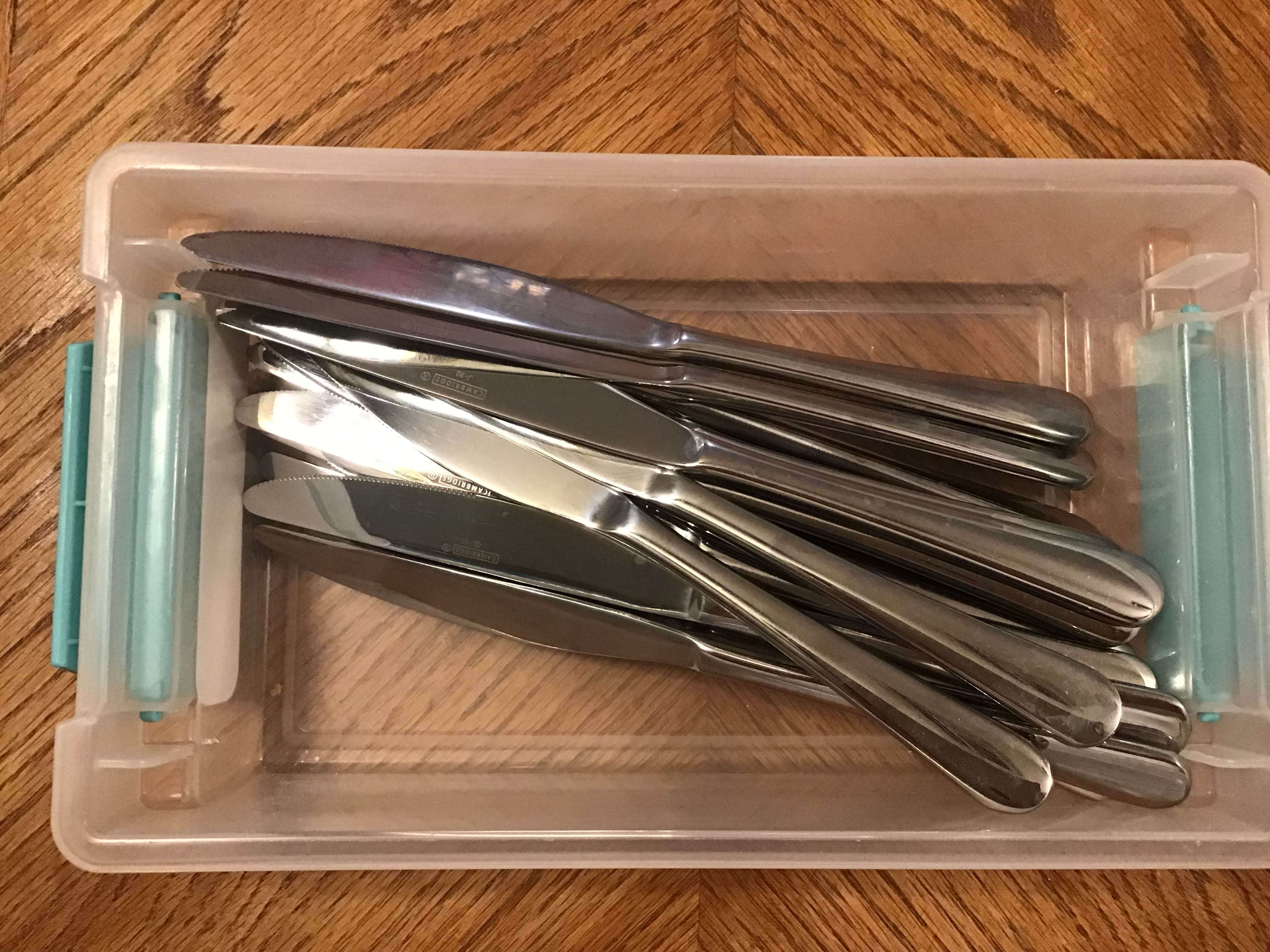 dinner knives (stainless steel, Cambridge #22)