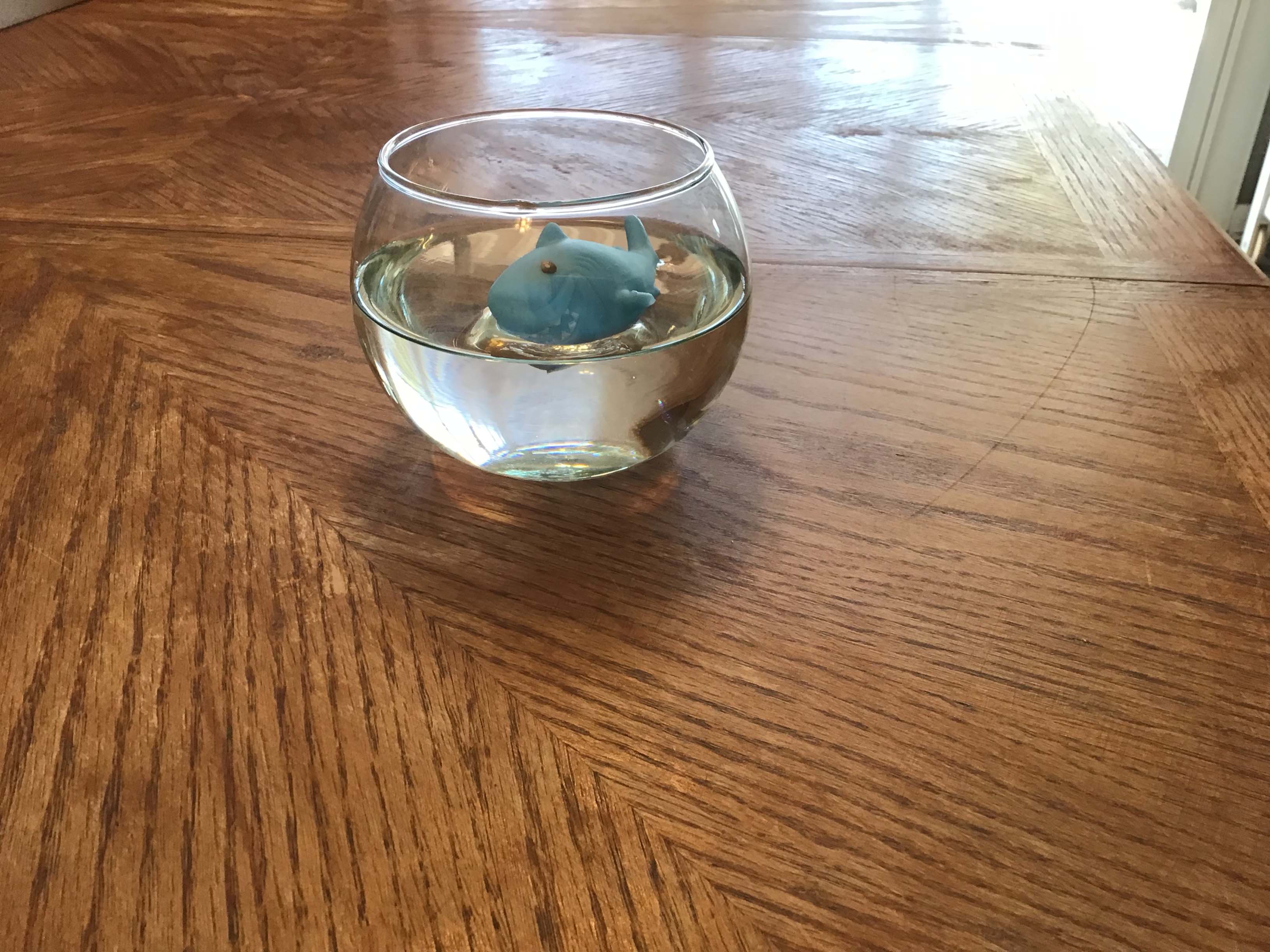 rubber sharks (mini floating bathtub toy)