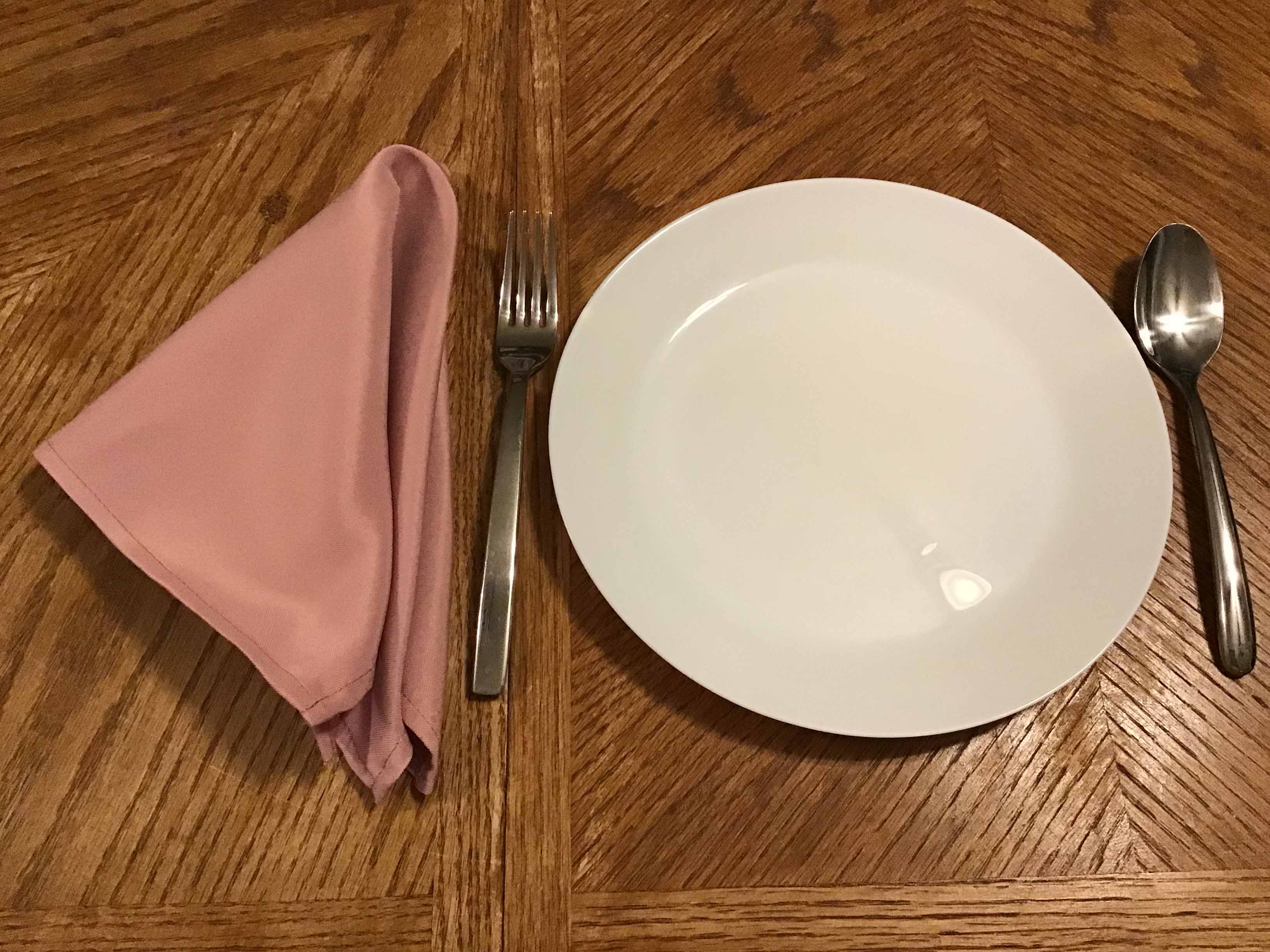 cloth dinner napkins (dusty rose) - 17 x 17