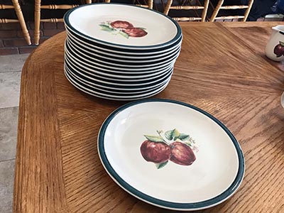 dinner plates - ceramic (Apple Casuals collection)