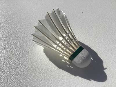 badminton shuttlecock birdies (goose feather)