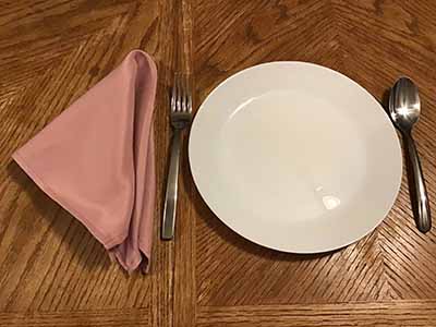 cloth dinner napkins (dusty rose) - 17 x 17