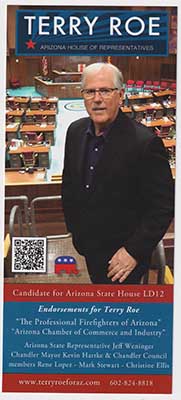 candidate Terry Roe flyer (front)