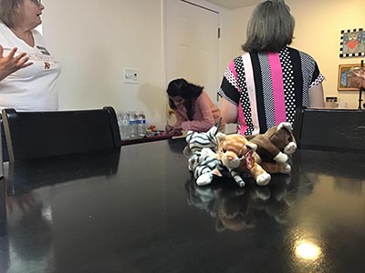 guests and stuffed / plush cat toys on a table at Meow-Mixer cat-lovers potluck lunch event