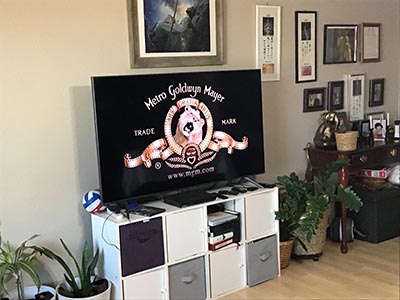 TV screen with MGM logo, including roaring lion