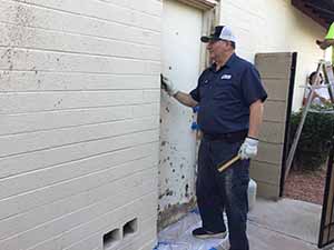 neighbors gather to scrape and paint trim on home of elderly neighbor Nellice Reidhead