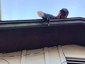 neighbors gather to scrape and paint trim on home of elderly neighbor Nellice Reidhead
