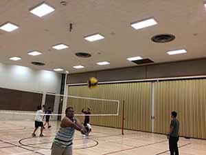 neighbors playing volleyball