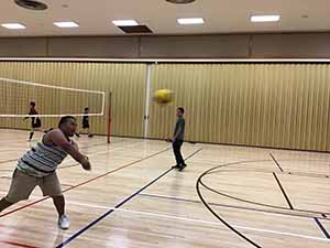 neighbors playing volleyball