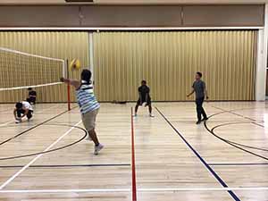 neighbors playing volleyball