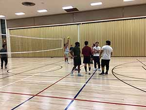 neighbors playing volleyball