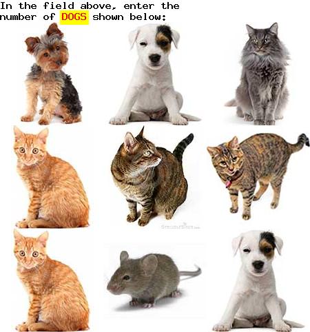 captcha to verify human, not robot