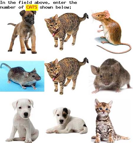 captcha to verify human, not robot